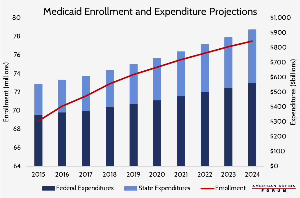Medicaid Enrollment and Expenditure Projections 20152024 AAF
