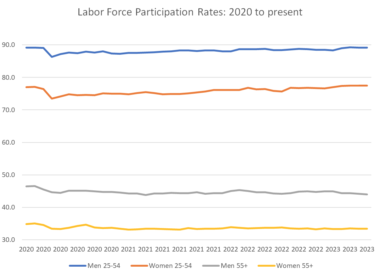 Labor Force Participation Rates 2020
